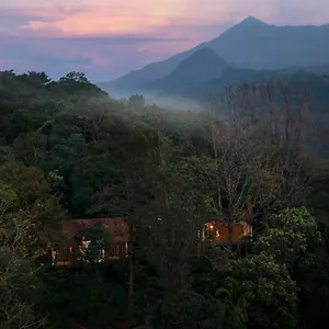  Resort Mist India